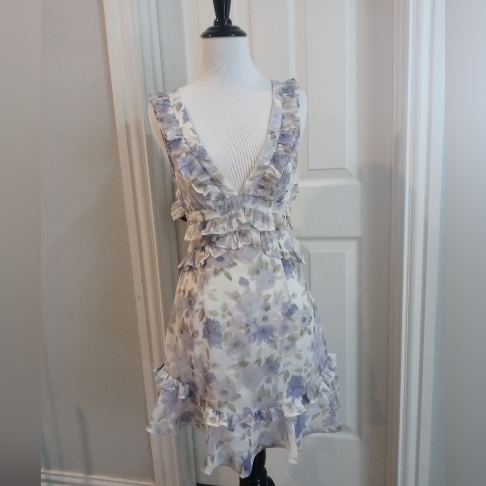 Adorable Spring Mini Dress - Picture 4 of 13